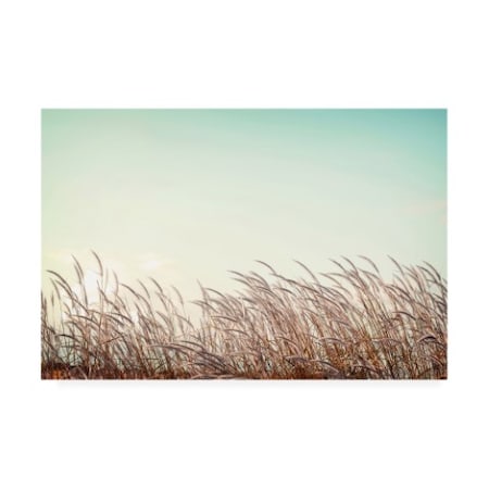 PhotoINC Studio 'Retro Grass' Canvas Art,30x47